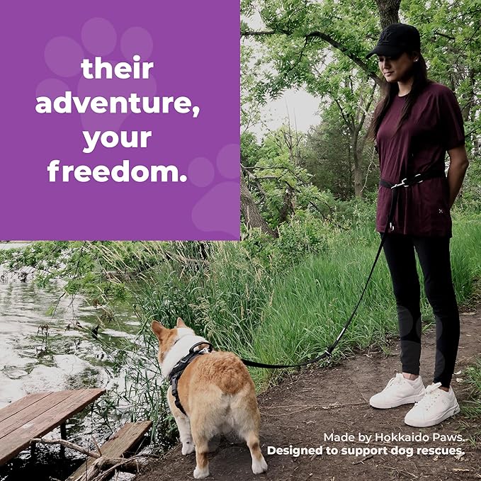 Adjustable Dog Leash | Heavy-Duty, Vegan, 3-in-1 Training Leash by Hokkaido Paws