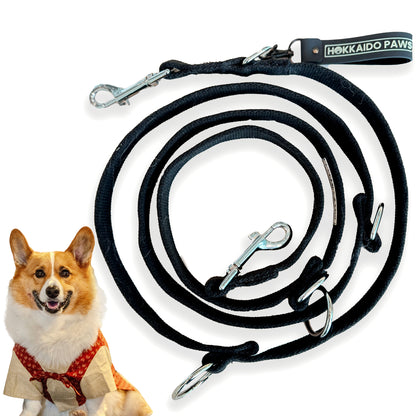 Adjustable Dog Leash | Heavy-Duty, Vegan, 3-in-1 Training Leash by Hokkaido Paws